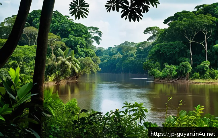 가이아나 아마존 지역 탐방 - A lush, untouched Amazon jungle scene in Guyana during the dry season, featuring towering green tree...