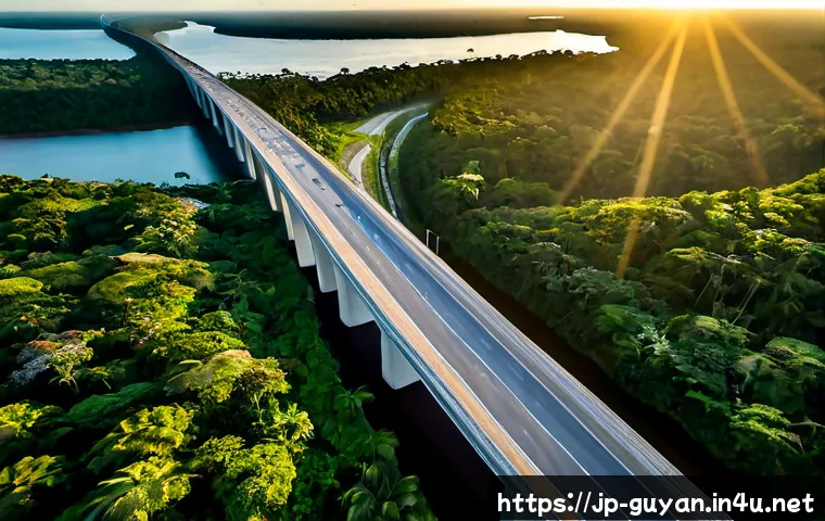 가이아나의 인프라 발전 - Photorealistic aerial view of modern infrastructure development in Guyana, a newly paved highway cro...
