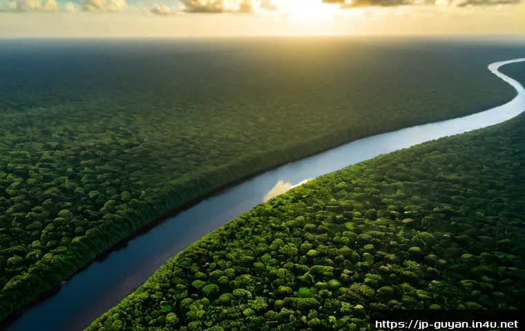 가이아나와 남미 관계 - Photorealistic wide aerial view of Guyana’s lush rainforest meeting the northern South American coas...